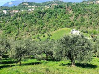 Terreno agricolo in vendita a manoppello contrada cerbarano s.n.c.