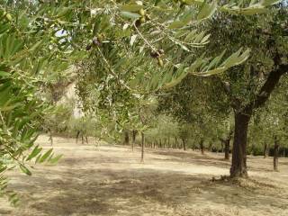 Terreno agricolo in vendita a chieti via per popoli s.n.c.