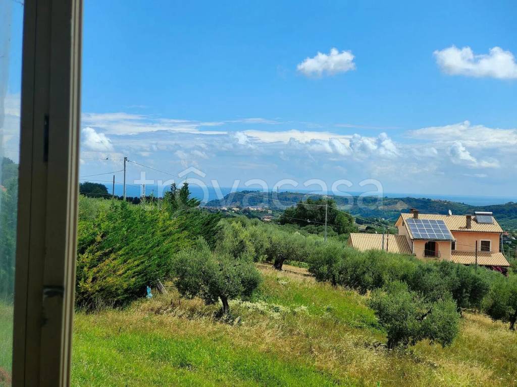 immagine annuncio 5 di 8