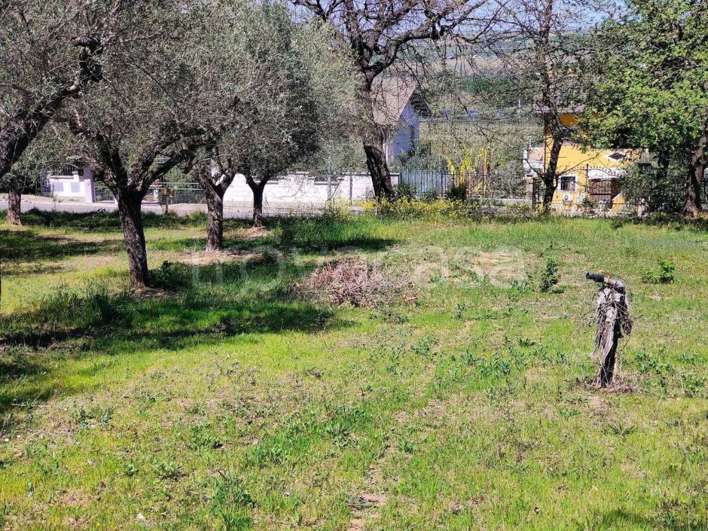 immagine annuncio 3 di 9