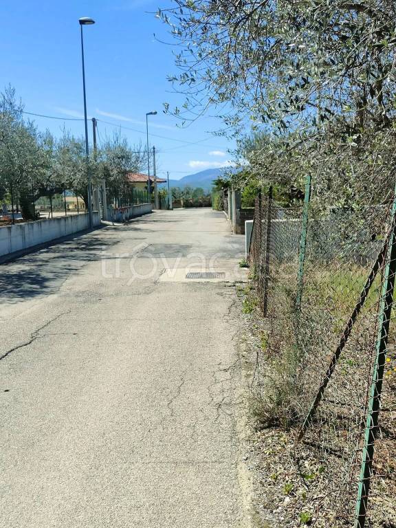 immagine annuncio 7 di 9