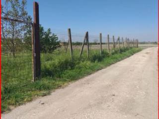 Terreno agricolo all'asta a brusciano strada provinciale quaranta moggia