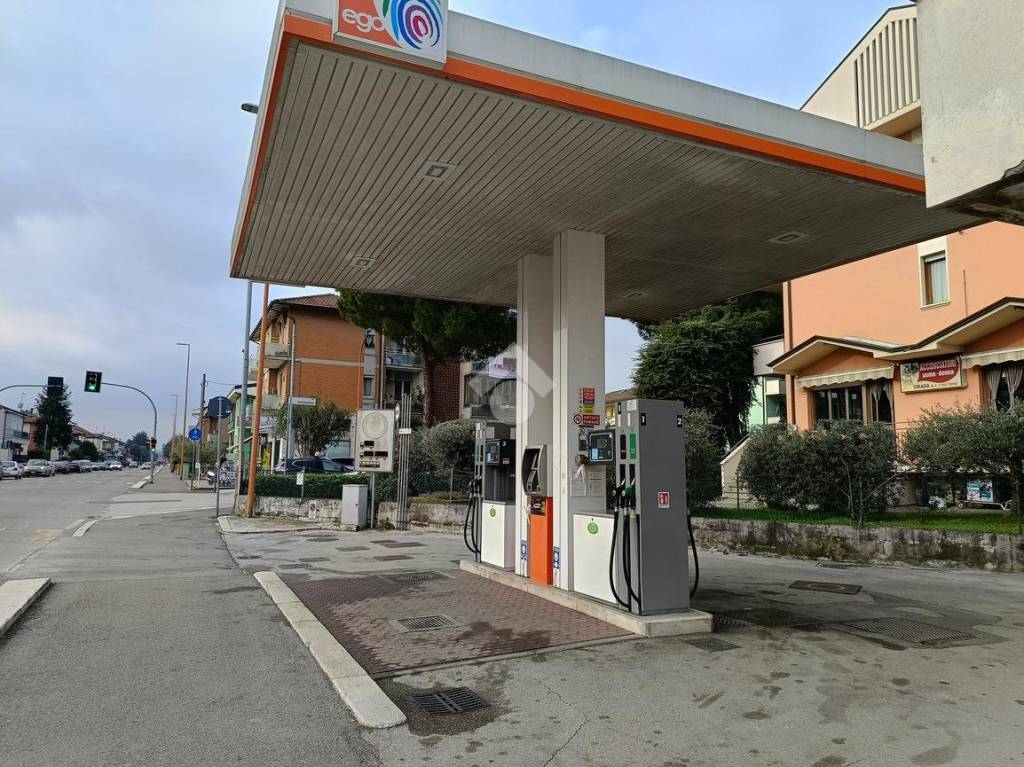 immagine annuncio 10 di 12