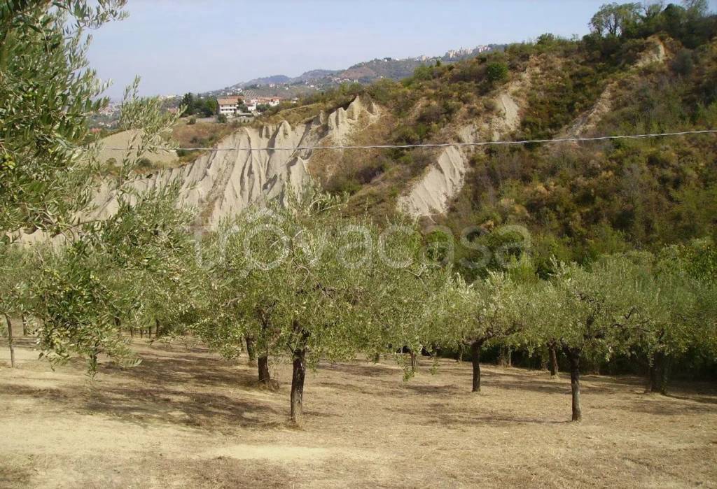 immagine annuncio 6 di 11