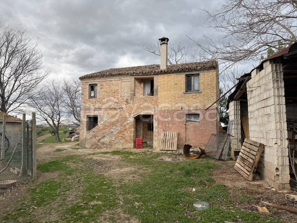 immagine annuncio 2 di 12