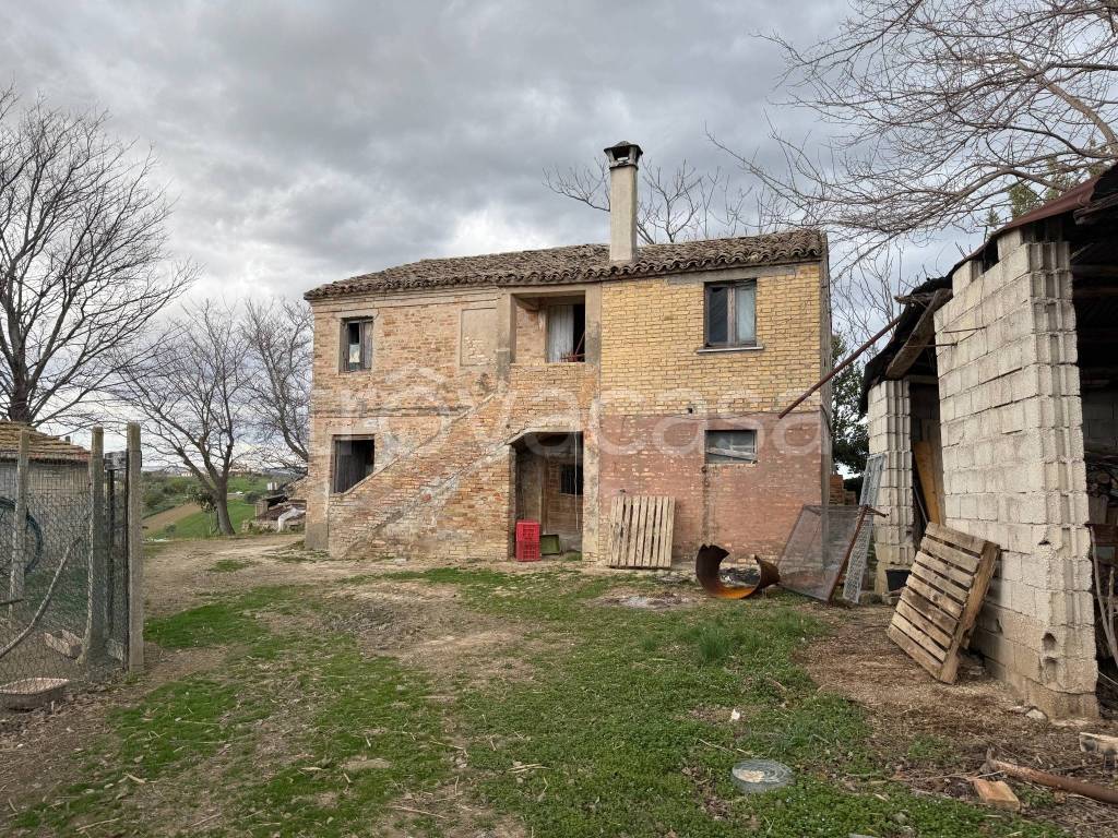 immagine annuncio 3 di 12