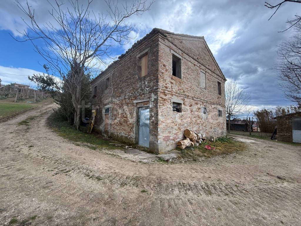 immagine annuncio 5 di 12