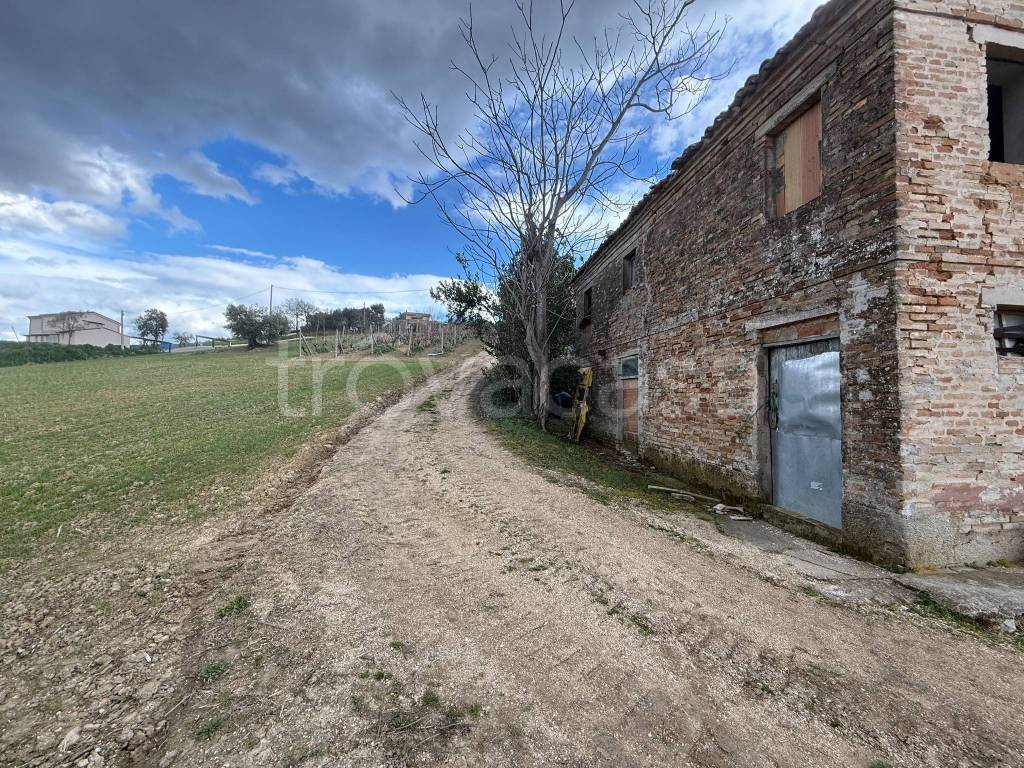 immagine annuncio 7 di 12