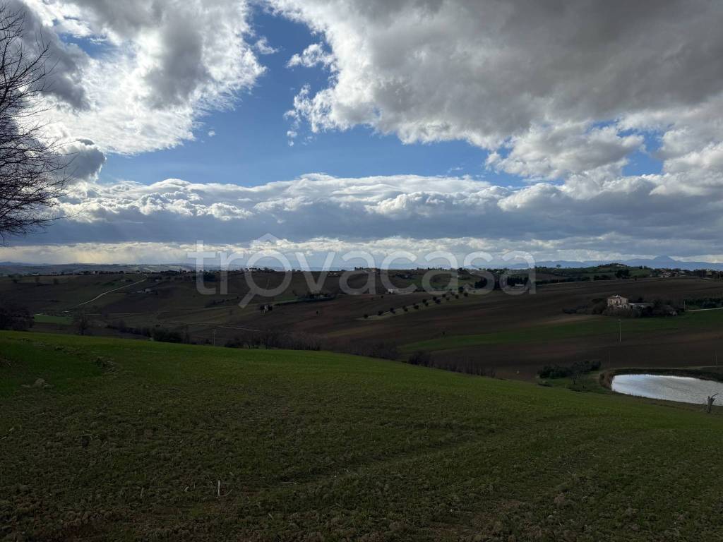 immagine annuncio 10 di 12