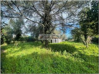 Terreno residenziale in vendita a roma via grazzanise