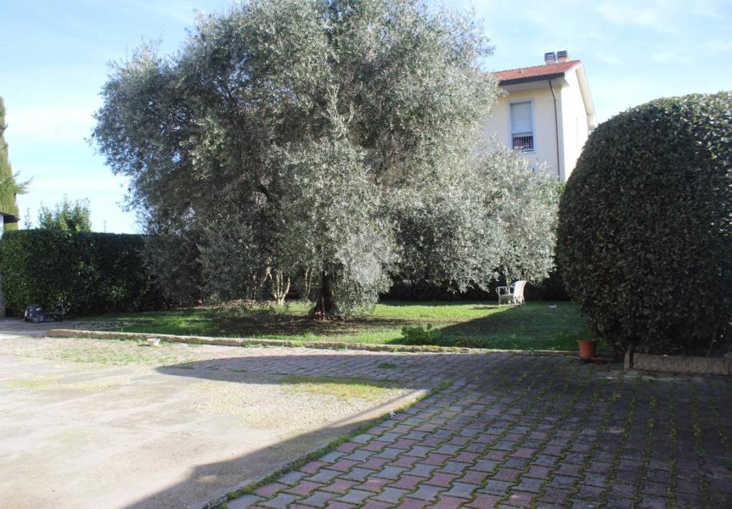 immagine annuncio 4 di 12