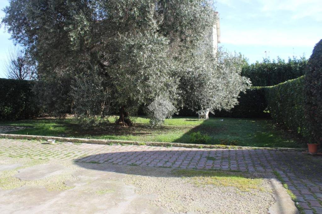 immagine annuncio 5 di 12