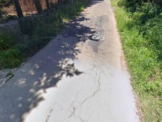 Terreno agricolo all'asta a martina franca strada san domenico zona m