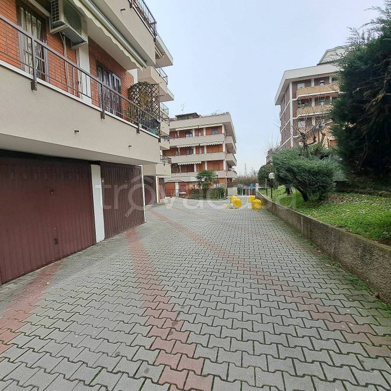immagine annuncio 1 di 14