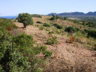 Terreno agricolo in vendita a siniscola via nuoro