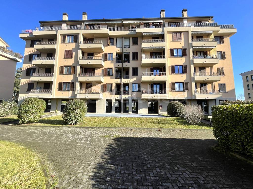 immagine annuncio 2 di 15