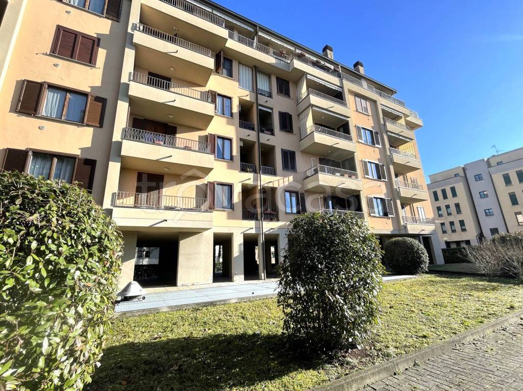 immagine annuncio 1 di 15