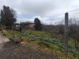 Terreno residenziale all'asta a urbino strada provinciale ca' la lagia