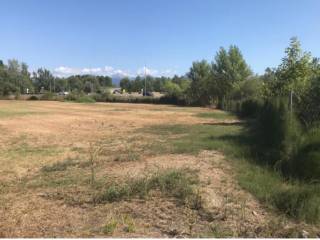 Terreno agricolo all'asta a viareggio svincolo marina di torre del lago