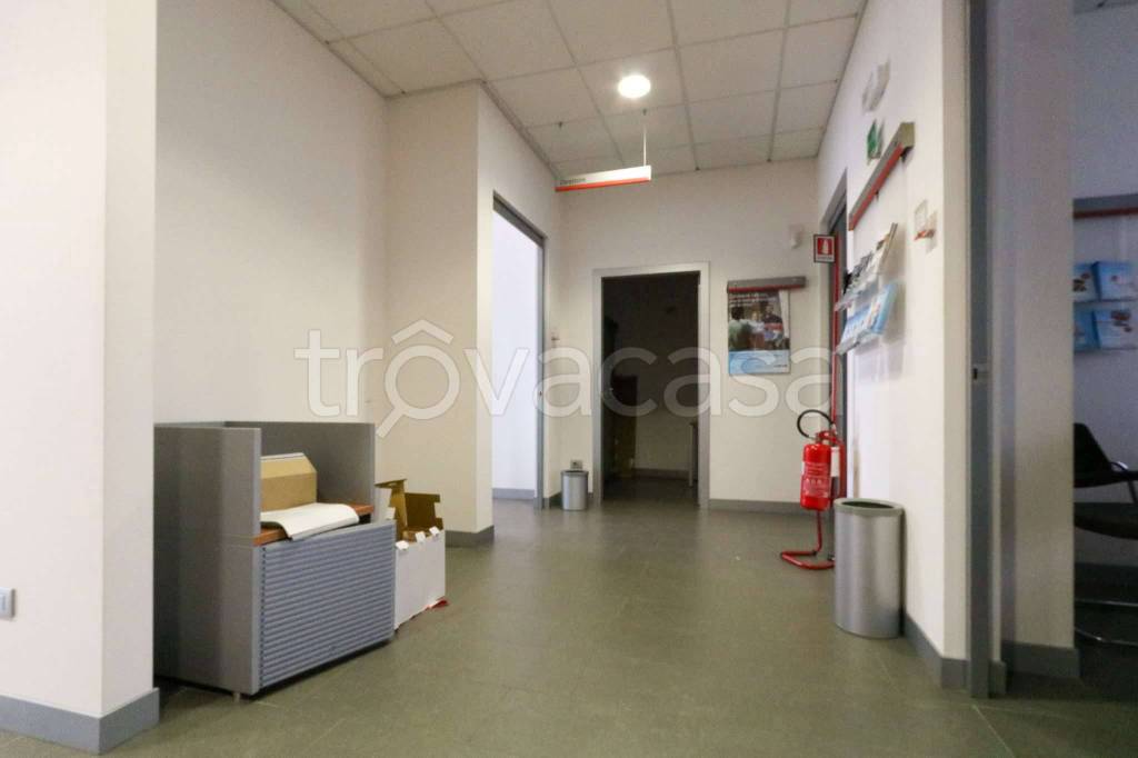 immagine annuncio 4 di 14