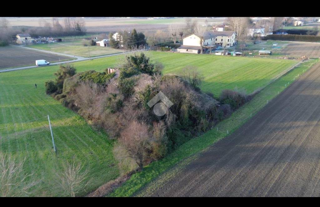 immagine annuncio 8 di 13