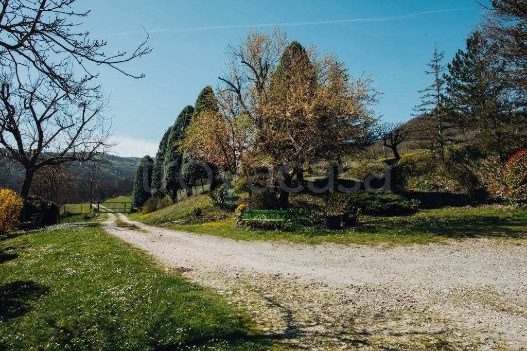 immagine annuncio 3 di 11
