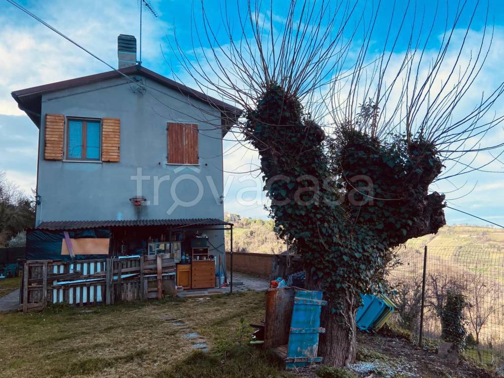 immagine annuncio 1 di 14