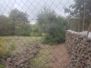 Terreno agricolo in vendita a belpasso via sicilia, 9