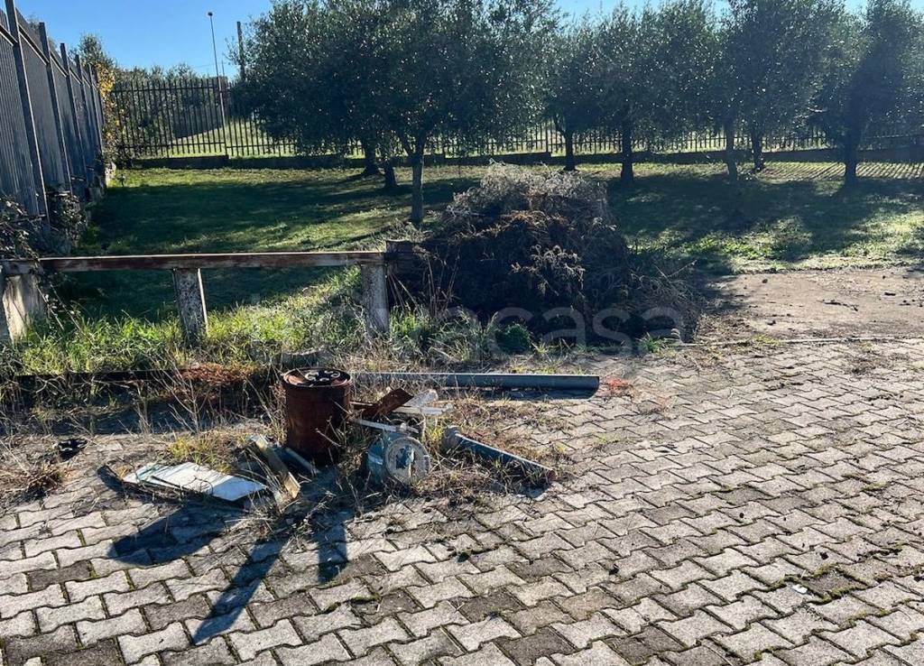 immagine annuncio 8 di 15