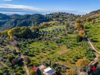 Terreno agricolo in vendita a salisano via dei prati