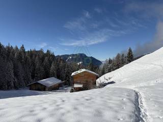 Appartamento in affitto a ortisei costamula