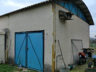 Azienda agricola all'asta a pontinia strada del tavolato