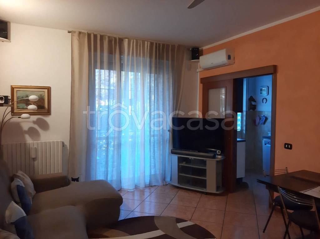 immagine annuncio 3 di 6