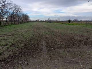 Terreno agricolo in vendita ad acerra via candelara