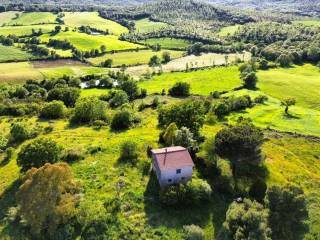 Rustico in vendita a capalbio vallerana