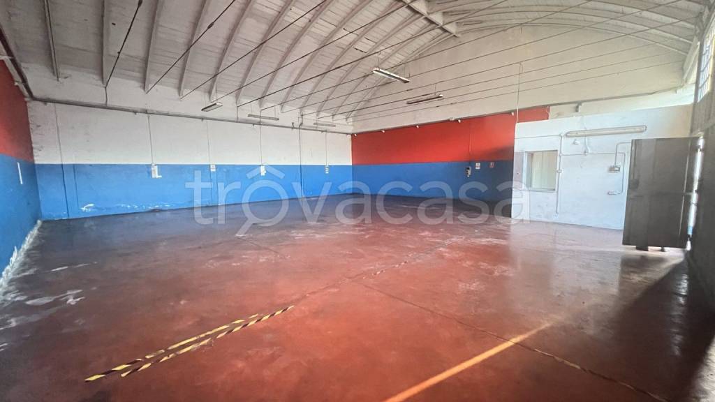 immagine annuncio 2 di 11