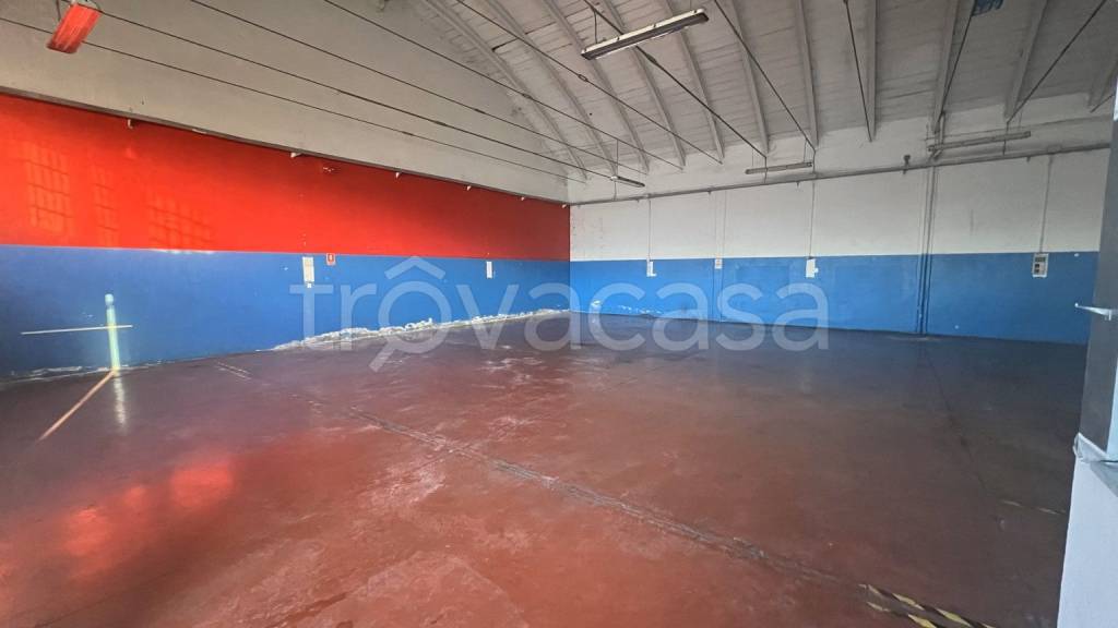 immagine annuncio 3 di 11