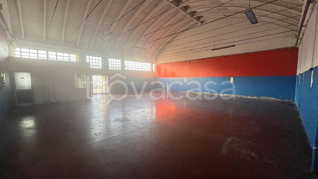 immagine annuncio 1 di 11