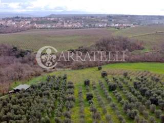 Azienda agricola in vendita a bomarzo via madonna del piano