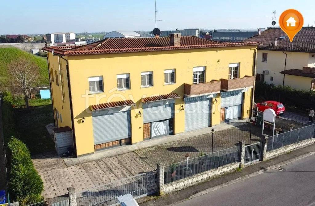 immagine annuncio 1 di 11