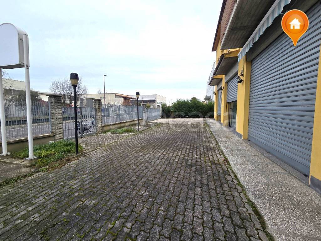 immagine annuncio 4 di 15