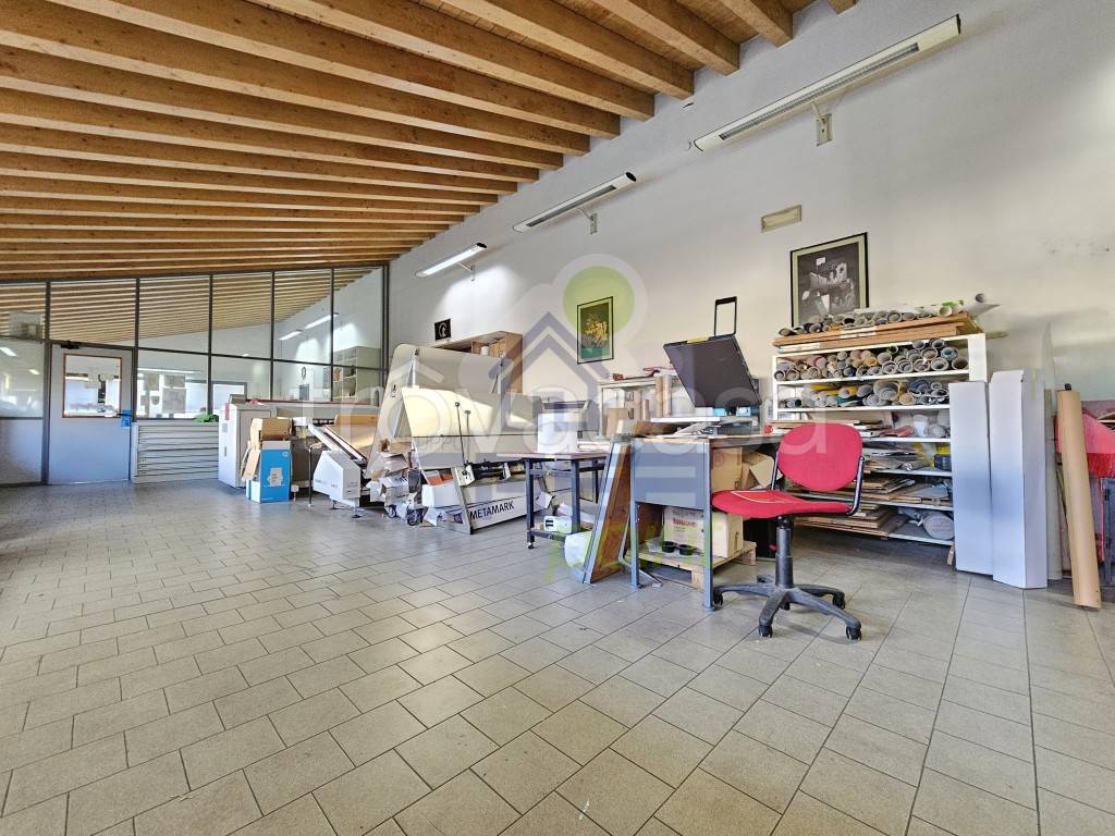 immagine annuncio 9 di 15