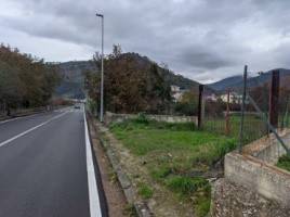 Terreno agricolo all'asta a castel san giorgio via riccardo ciancio