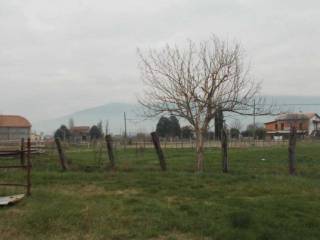 Terreno agricolo all'asta a cannara 06033 cannara pg, italia