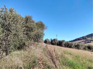 Terreno agricolo in vendita a osimo via campoceraso, snc