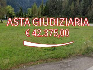 Terreno agricolo all'asta a lozzo di cadore localita' val sant'anna