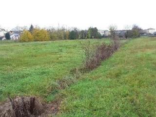 Terreno agricolo all'asta a cesena localita' pievesestina