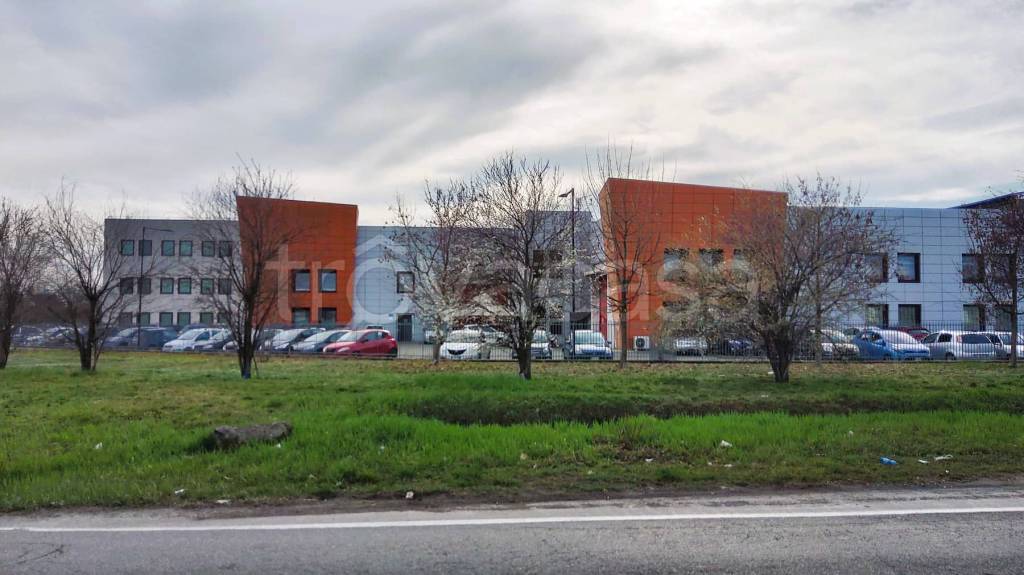 immagine annuncio 2 di 13