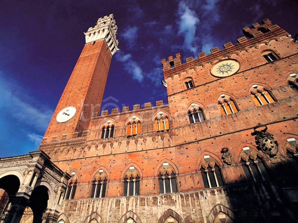 immagine annuncio 3 di 4