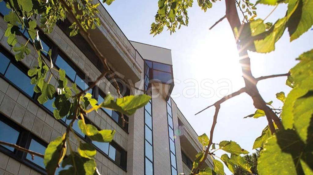 immagine annuncio 12 di 14